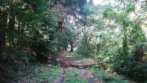 大生殿神社の建物その他