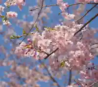 今市報徳二宮神社(栃木県)