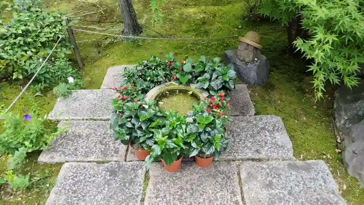 勝林寺(京都府)