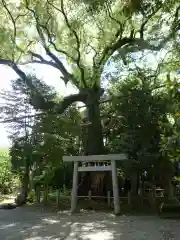 松阪神社(三重県)