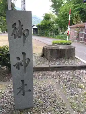 薬師神社(福井県)