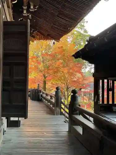 真正極楽寺（真如堂）の景色