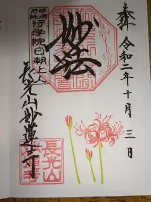 御朱印 曼珠沙華