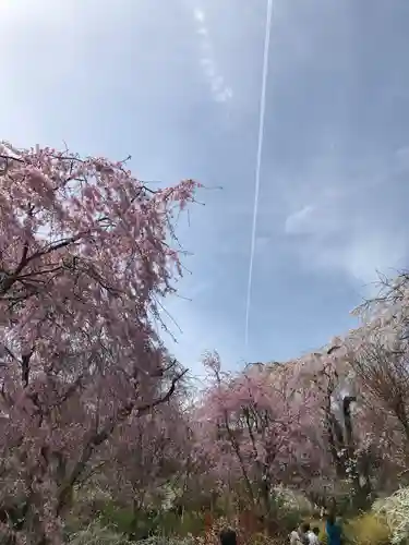 敷地神社（わら天神宮）(京都府)