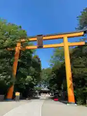 川越氷川神社(埼玉県)