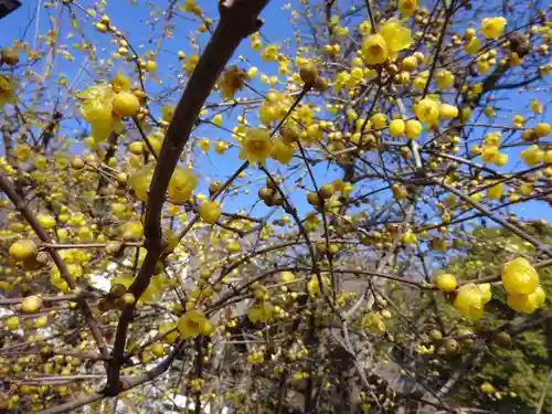 横浜　西方寺(神奈川県)
