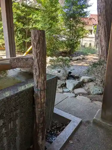 八幡社（柏井町）の動物