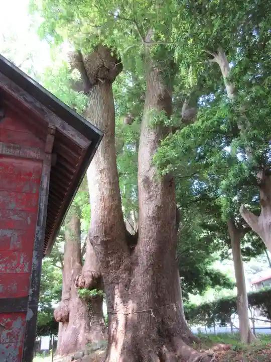 部田神社のその他建物