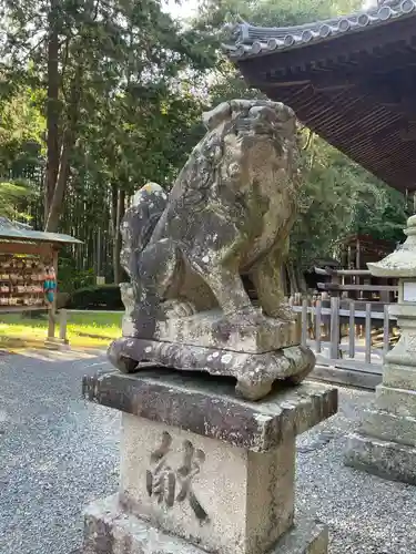 夜比良神社の狛犬