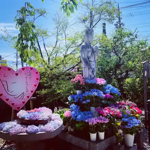 四季桜の寺 妙乗院(愛知県)