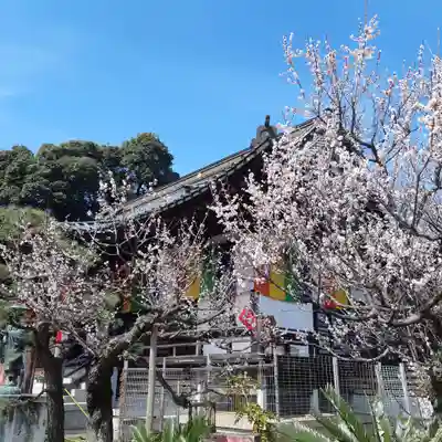 万蔵院(茨城県)