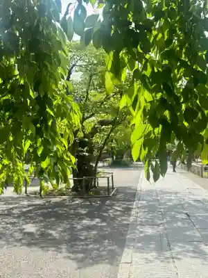 志波彦神社・鹽竈神社の{uncategorized: "未分類", other: "その他", undefined: "問題あり", building: "その他建物", grave: "お墓", sacred_gate: "鳥居", guardian: "狛犬", statue: "像", buddha: "仏像", history: "歴史", nature: "自然", garden: "庭園", animal: "動物", pagoda: "塔", temizu: "手水舎", mountain_gate: "山門・神門", sanctuary: "本殿・本堂", subordinate: "末社・摂社", art: "芸術", scenery: "景色", jizo: "地蔵", ema: "絵馬", goshuin: "御朱印", omikuji: "おみくじ", items: "授与品その他", amulet: "お守り", goshuincho: "御朱印帳", eats: "食事", festival: "お祭り", votive_dance: "神楽", shichigosan: "七五三参", wedding: "結婚式", experience: "体験その他", initially: "初詣", around: "周辺", anti_infection: "感染症対策"}
