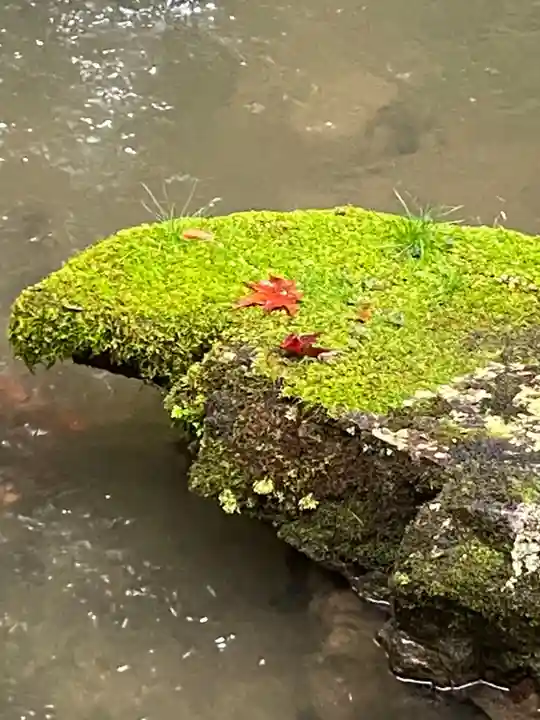 柳谷観音 楊谷寺の庭園