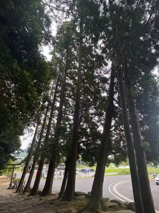 神魂神社(島根県)
