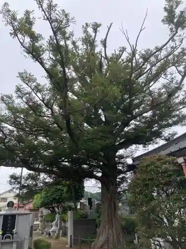 寳積院（宝積院）(神奈川県)