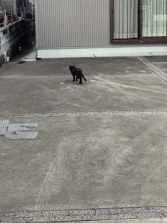 御井神社の周辺