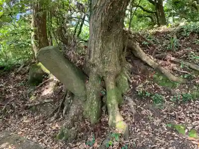 高藏神社の自然