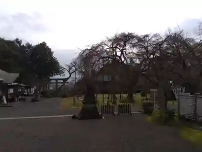 足羽神社(福井県)