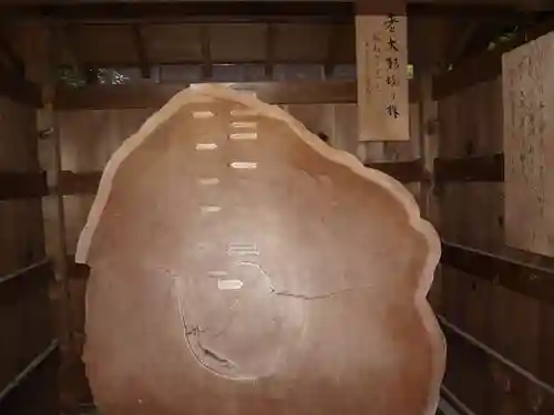 雲巌寺(栃木県)