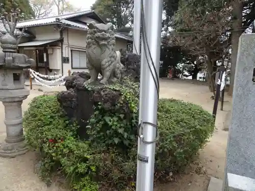 柏諏訪神社の狛犬