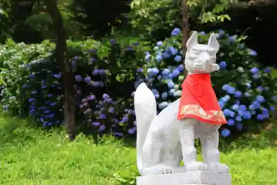 高屋敷稲荷神社の狛犬