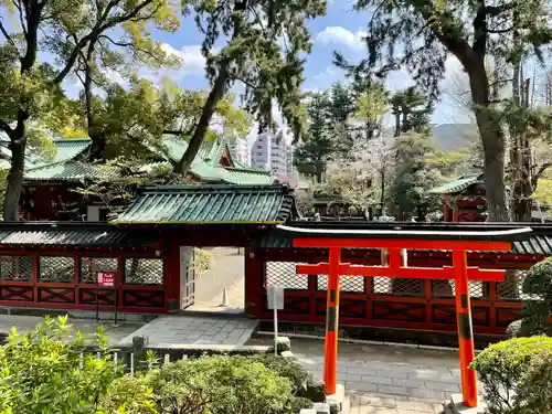 乙女稲荷神社の鳥居