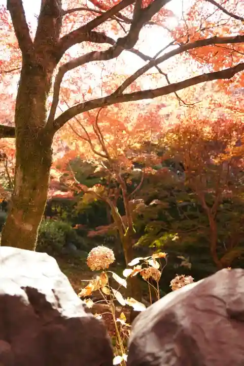 東福禅寺(東福寺)(京都府)