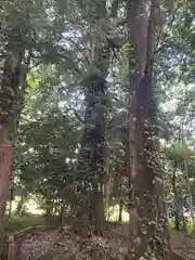 咲前神社(群馬県)