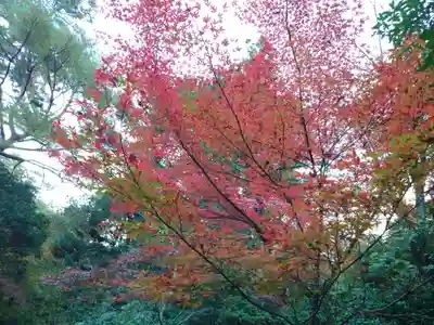 厳島神社(広島県)