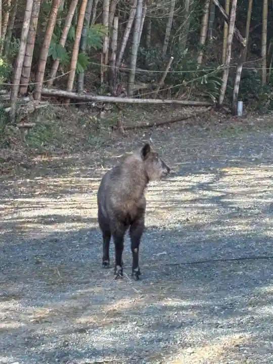 秋葉總本殿可睡斎(静岡県)