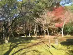 醍醐寺(京都府)