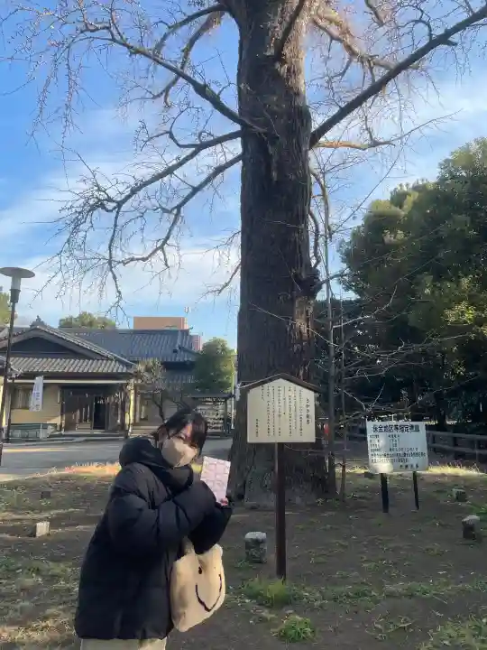 飯香岡八幡宮(千葉県)