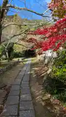 勝持寺（花の寺）(京都府)