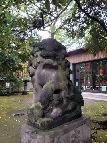 赤坂氷川神社の狛犬