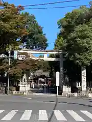 秩父神社(埼玉県)