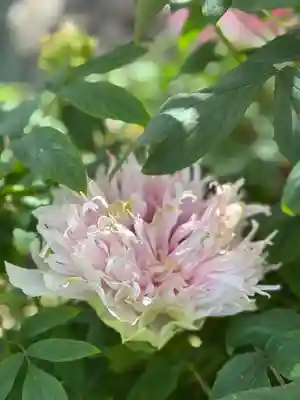 薬師院(兵庫県)