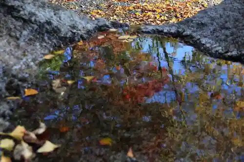 王宮伊豆神社の手水