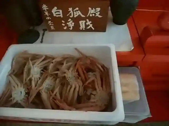 白狐山光星寺(山形県)