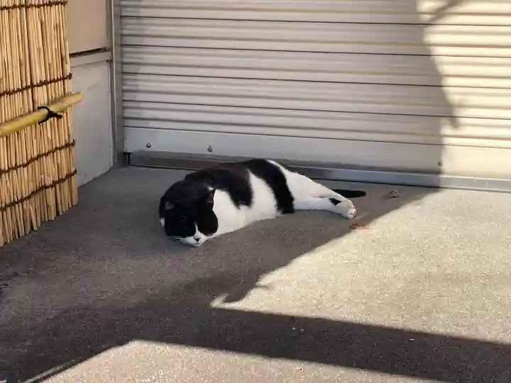 白金氷川神社(東京都)