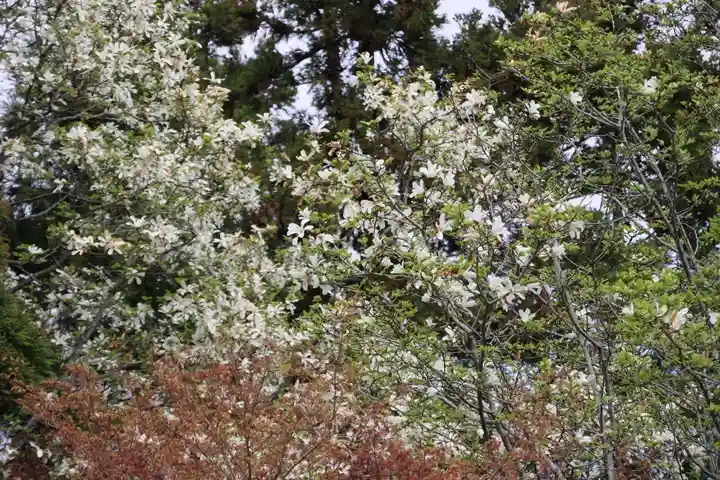 豊景神社の自然