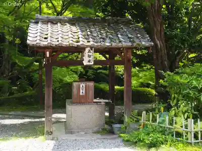 今熊野観音寺(京都府)