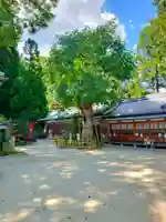 葛城一言主神社(奈良県)