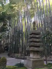 報国寺(神奈川県)