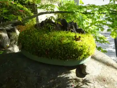 長命寺のその他建物