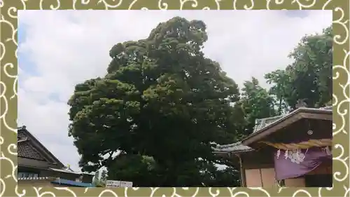 九重神社(埼玉県)