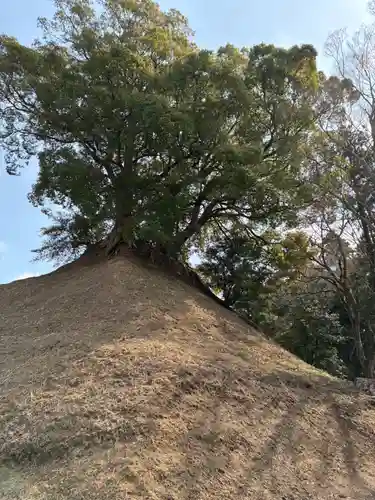 楠木神社(茨城県)