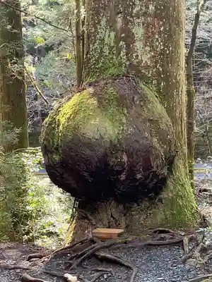 花園神社(茨城県)