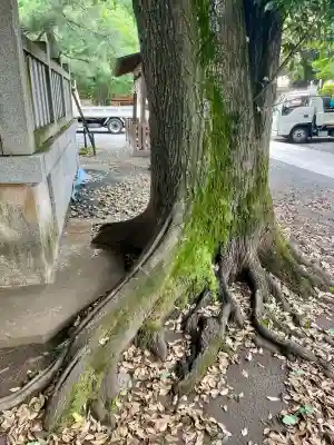 天神社(東京都)