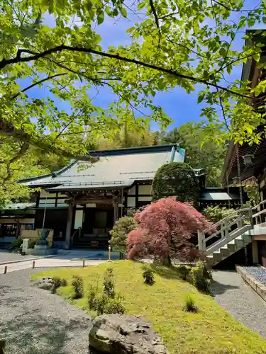 報国寺(神奈川県)