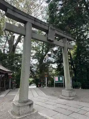 谷保天満宮(東京都)